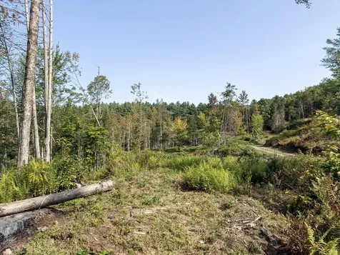 219 Weber Brook Lane Craftsbury VT 05826