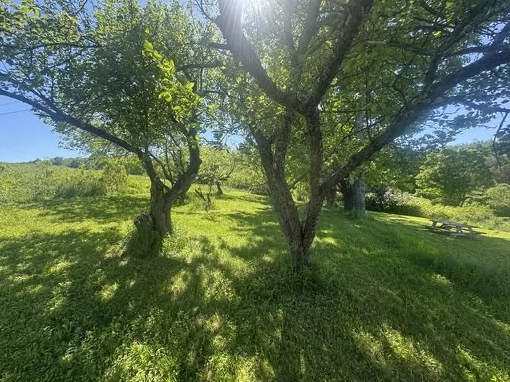 3491 County Road Albany VT 05875