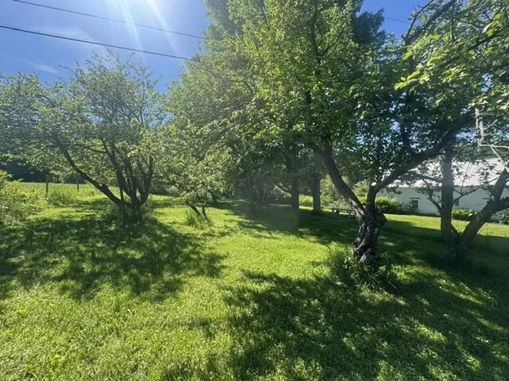 3491 County Road Albany VT 05875