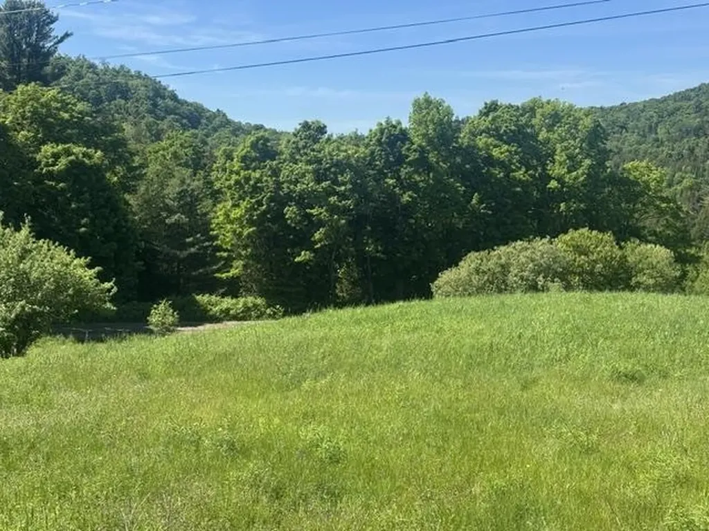 3491 County Road Albany VT 05875