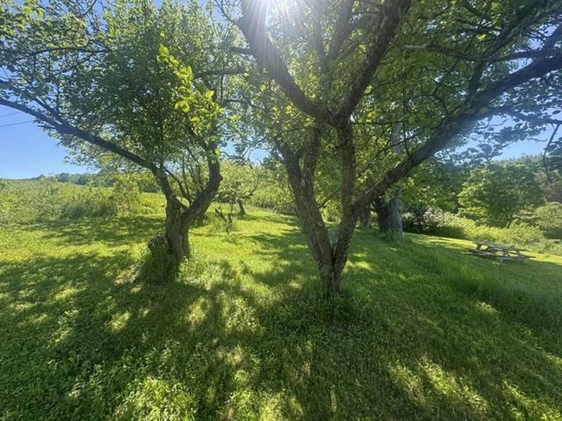 3491 County Road Albany VT 05875
