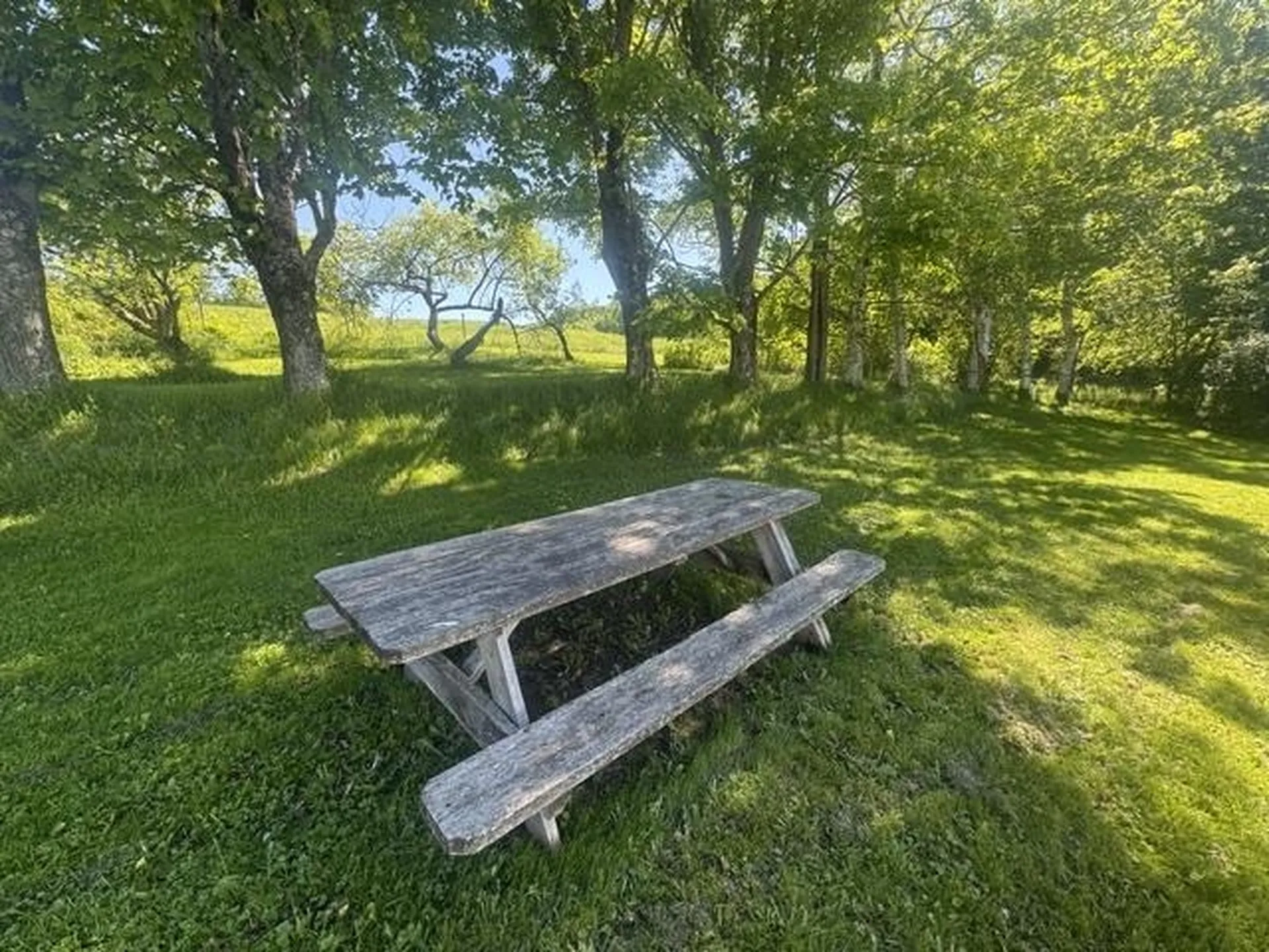 3491 County Road Albany VT 05875