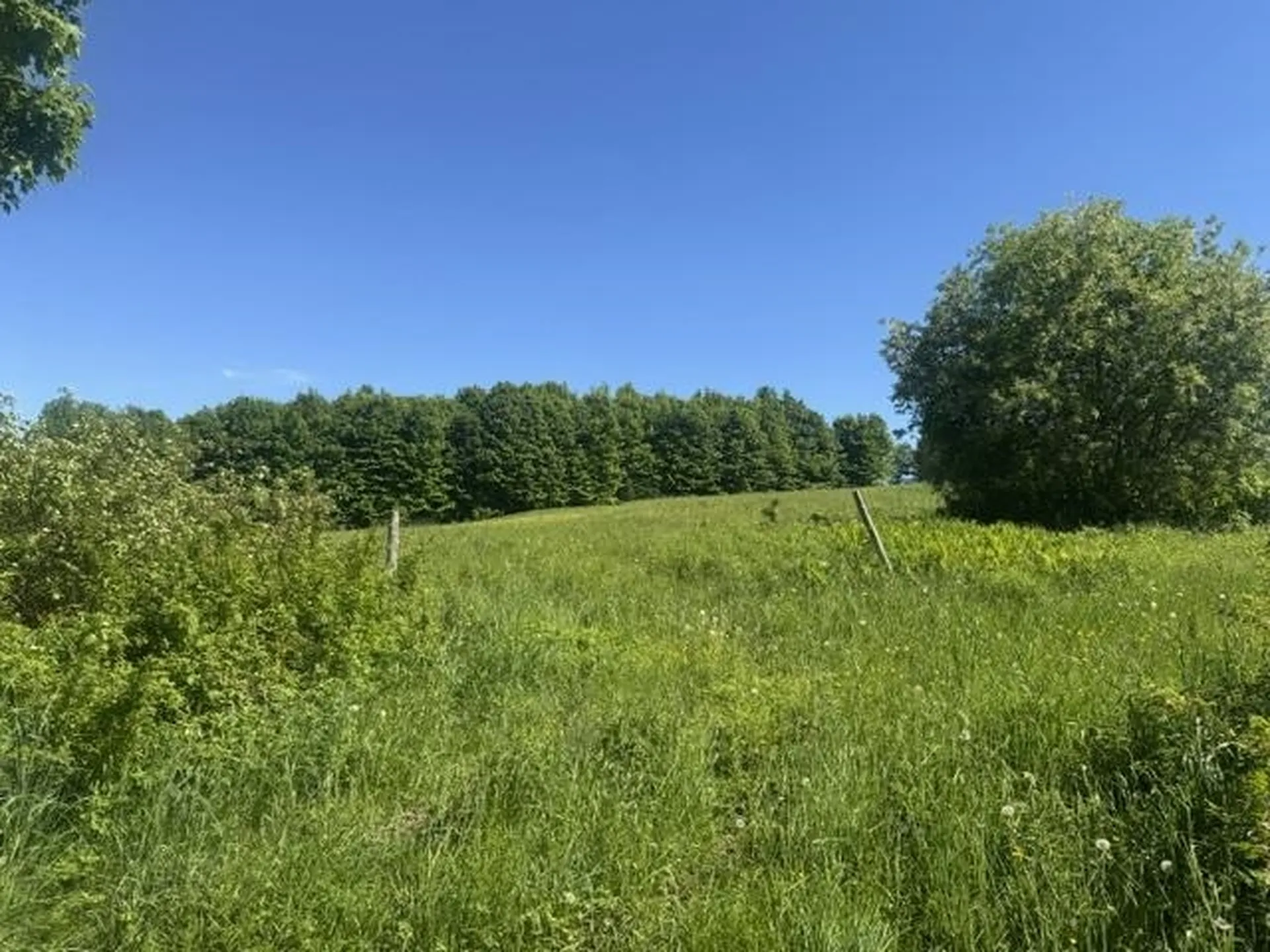3491 County Road Albany VT 05875