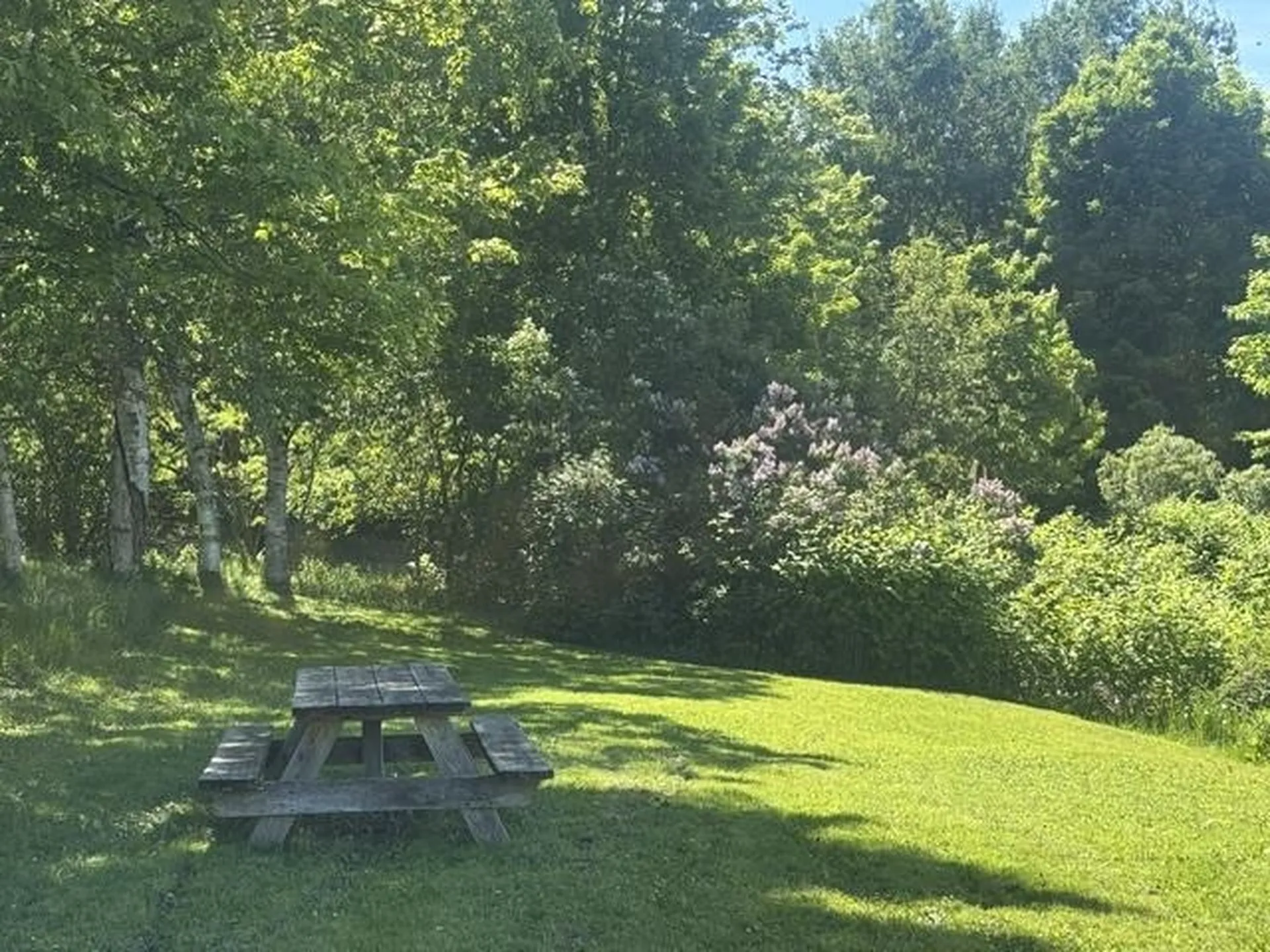 3491 County Road Albany VT 05875