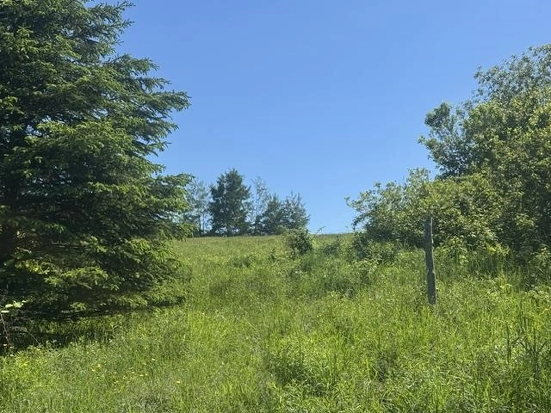 3491 County Road Albany VT 05875