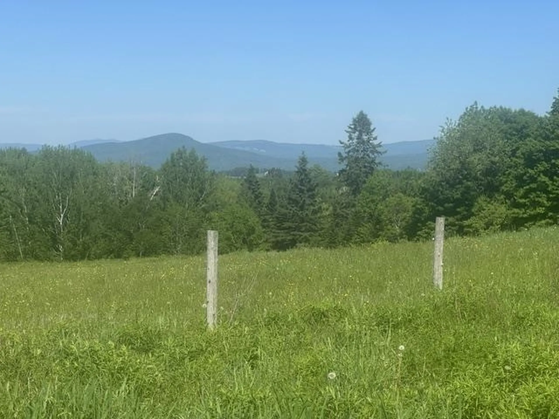 3491 County Road Albany VT 05875