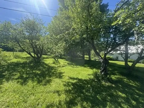 3491 County Road Albany VT 05875