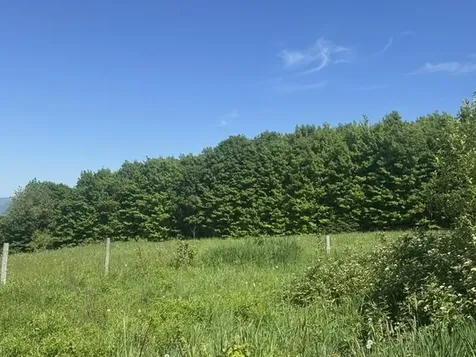 3491 County Road Albany VT 05875