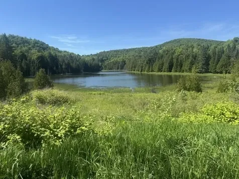 3491 County Road Albany VT 05875