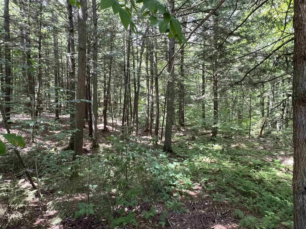 42 Bills Road Stratton VT 05360