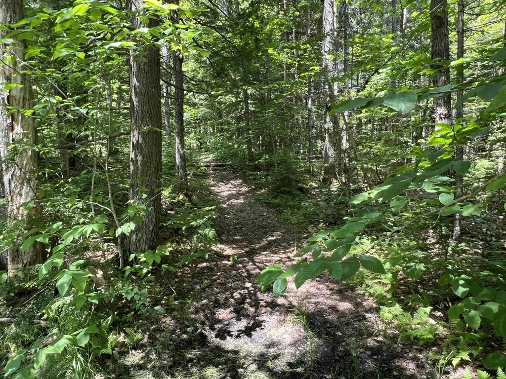 42 Bills Road Stratton VT 05360