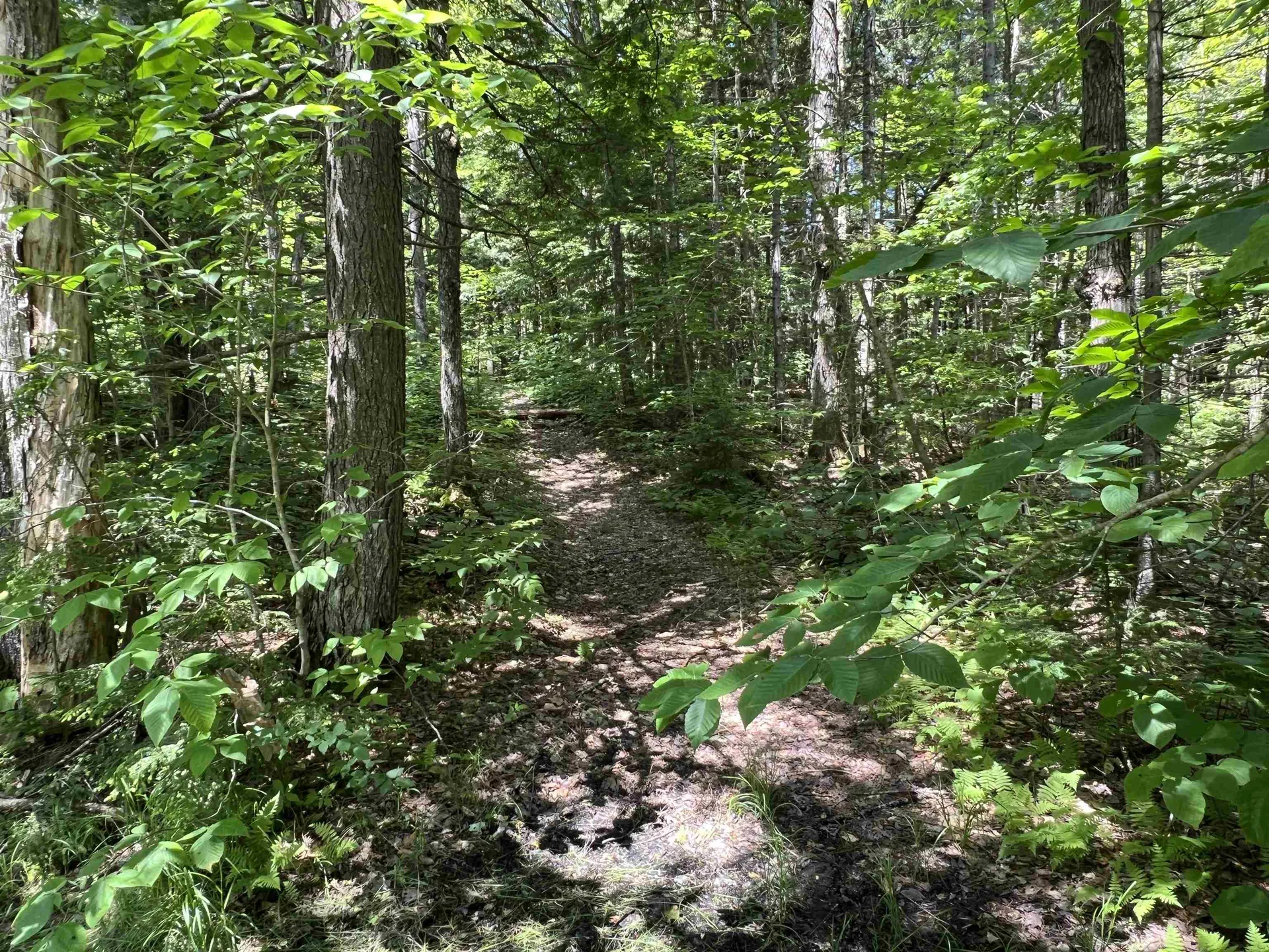 42 Bills Road Stratton VT 05360