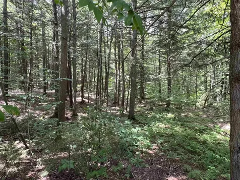 42 Bills Road Stratton VT 05360