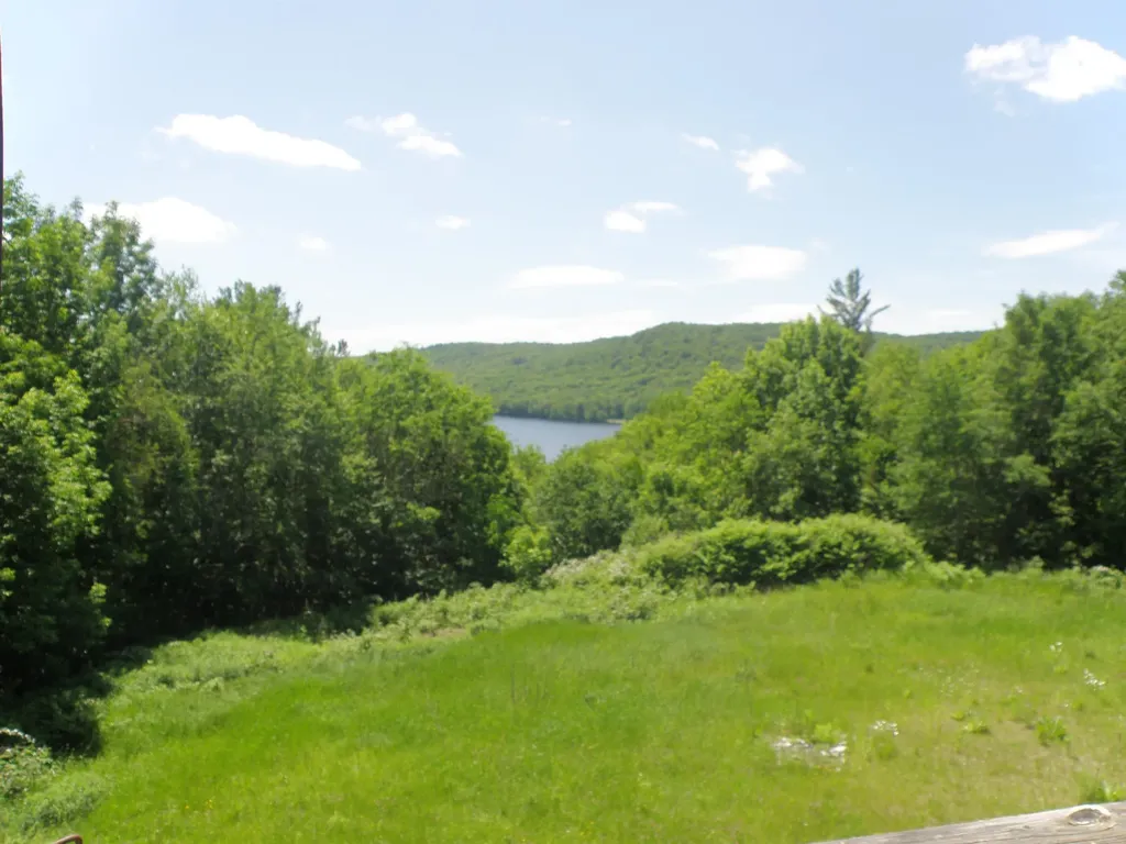 106 Town Farm Road Wilmington VT 05363