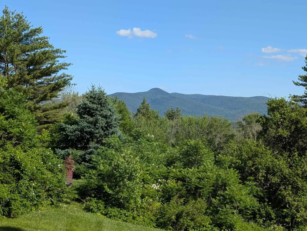 163 Maple Ridge Road Sandwich NH 03259