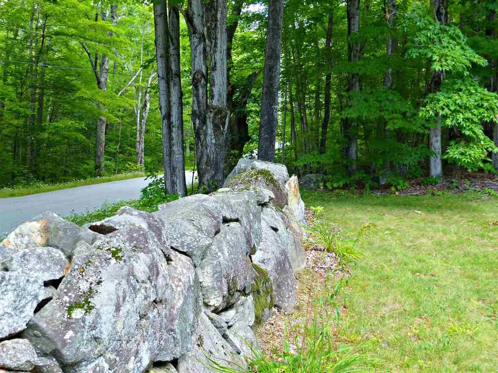 163 Maple Ridge Road Sandwich NH 03259