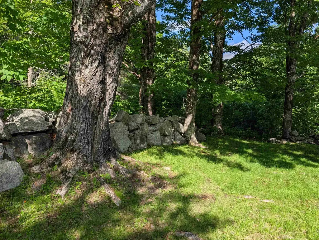 163 Maple Ridge Road Sandwich NH 03259