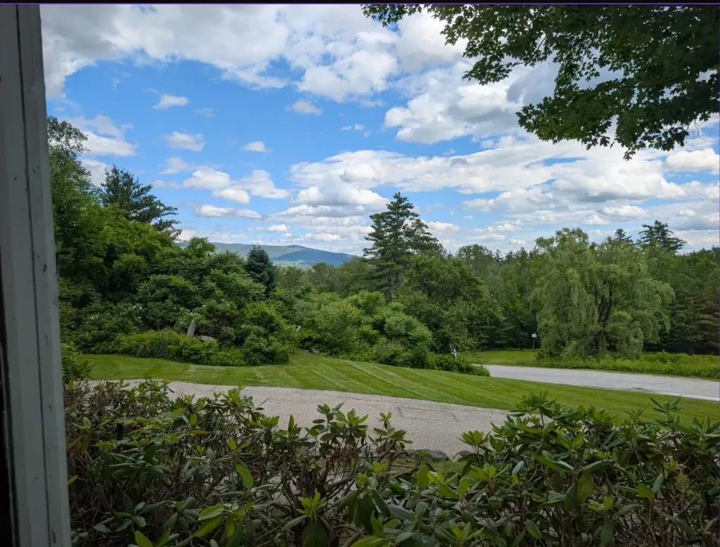 163 Maple Ridge Road Sandwich NH 03259