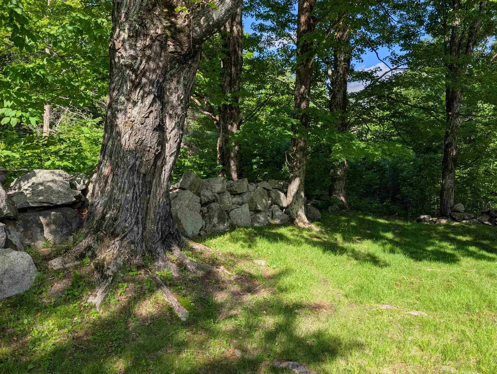 163 Maple Ridge Road Sandwich NH 03259