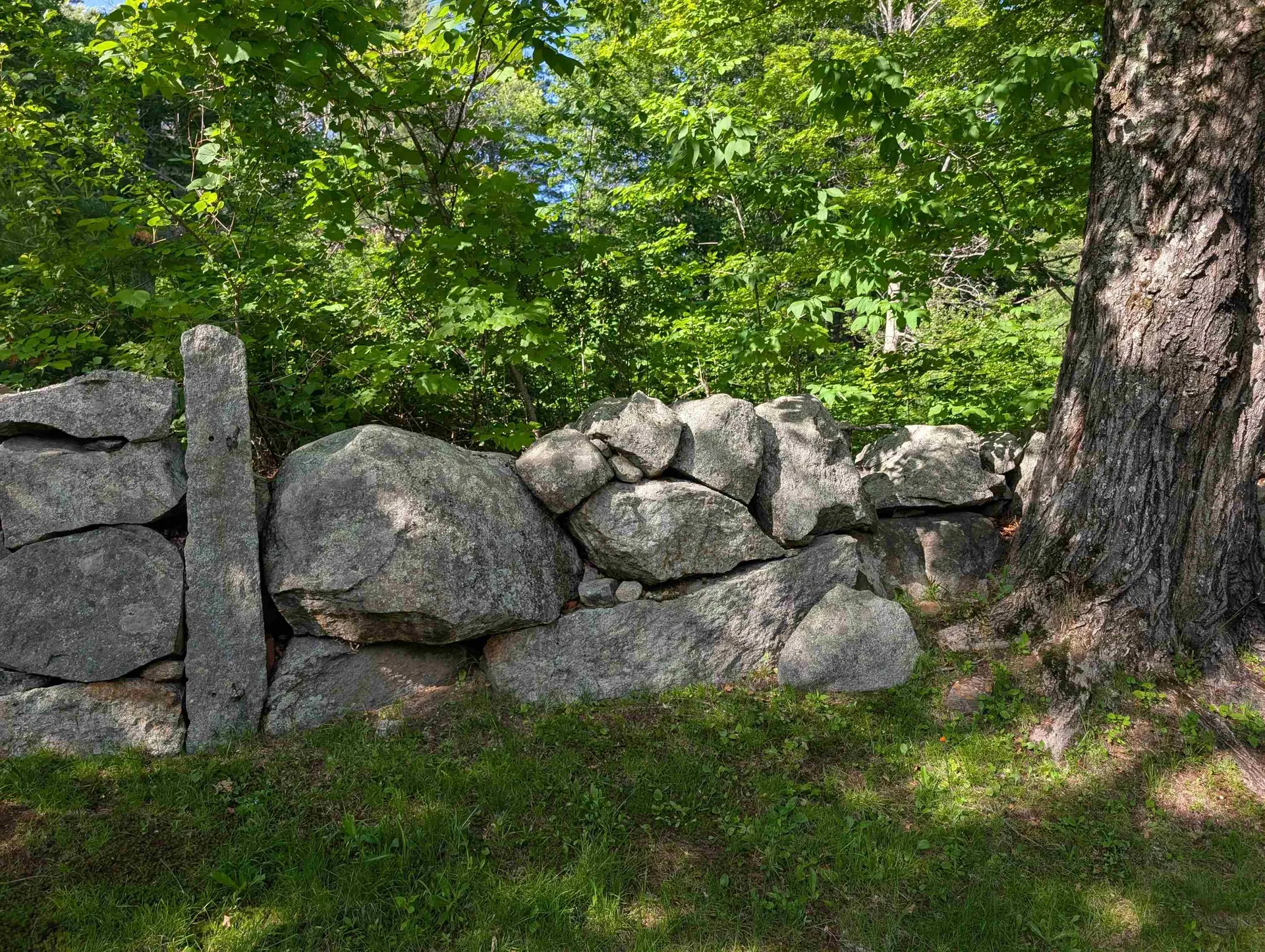 163 Maple Ridge Road Sandwich NH 03259