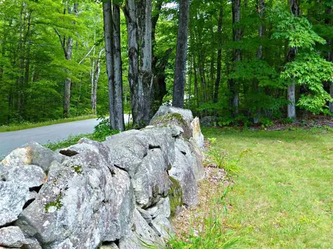 163 Maple Ridge Road Sandwich NH 03259