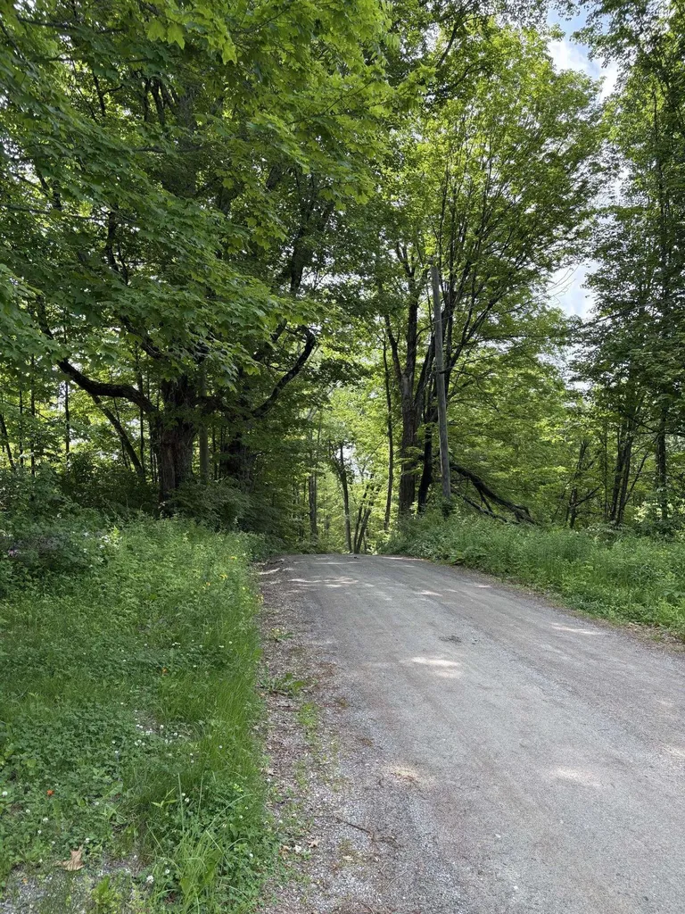 61 Orchard Road Chesterfield NH 03443