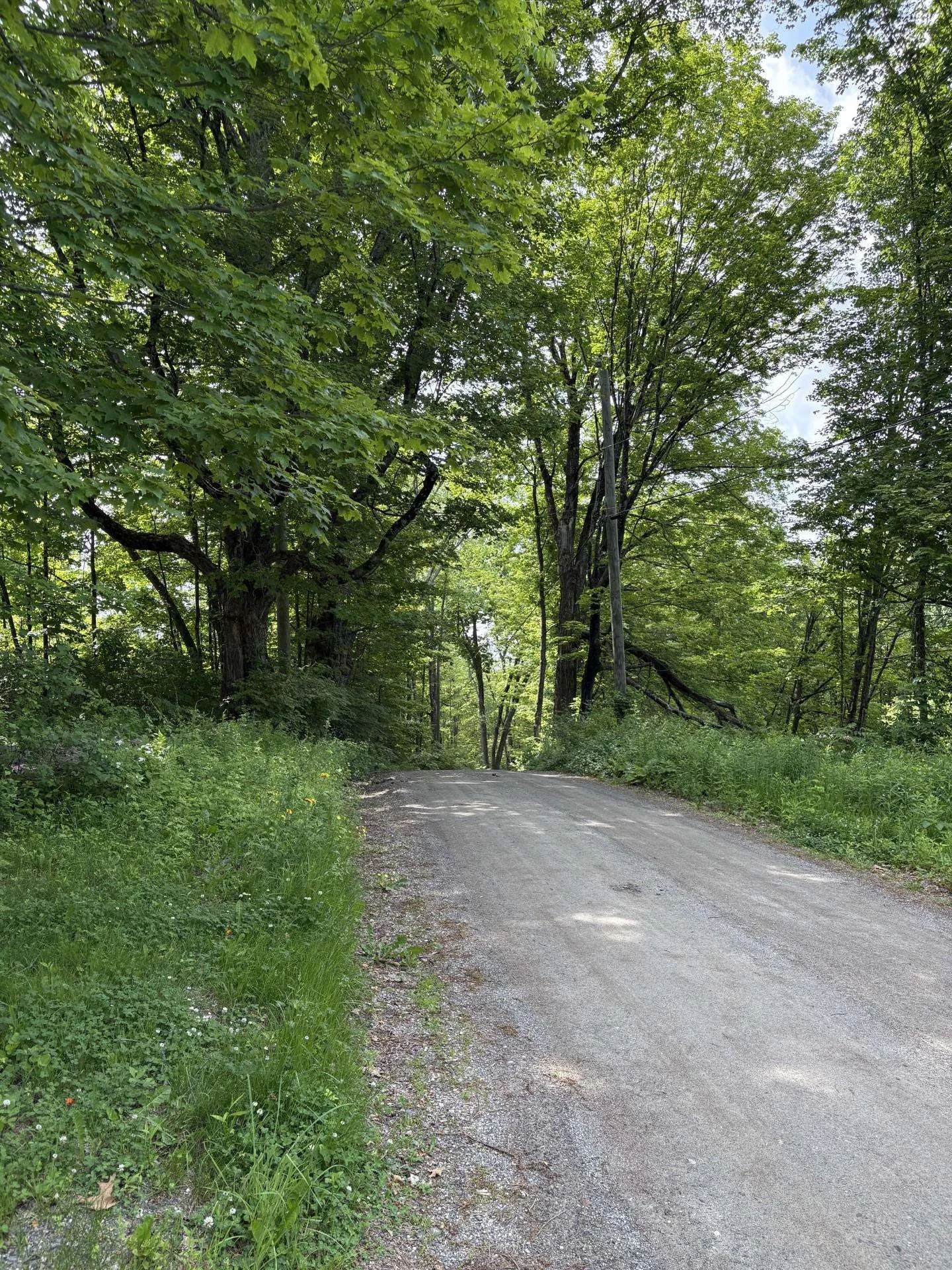 61 Orchard Road Chesterfield NH 03443