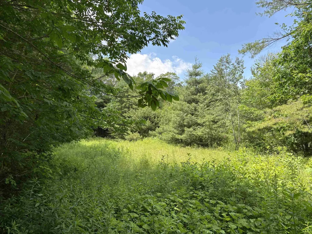00 Simonsville Road Andover VT 05143