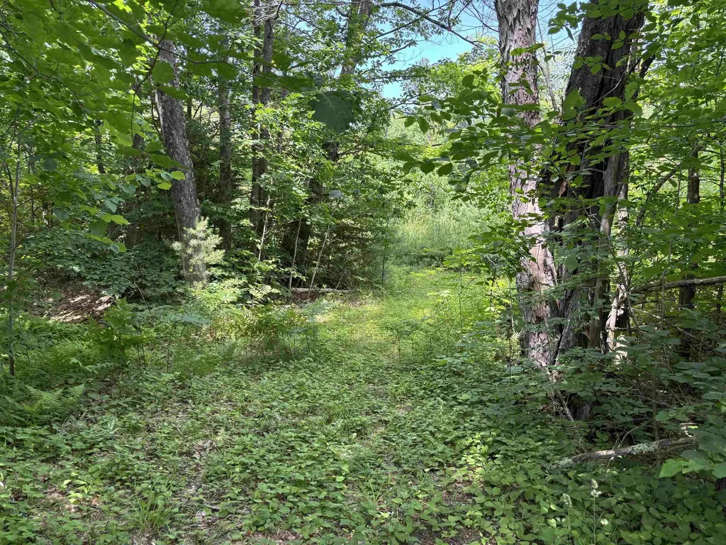 00 Simonsville Road Andover VT 05143