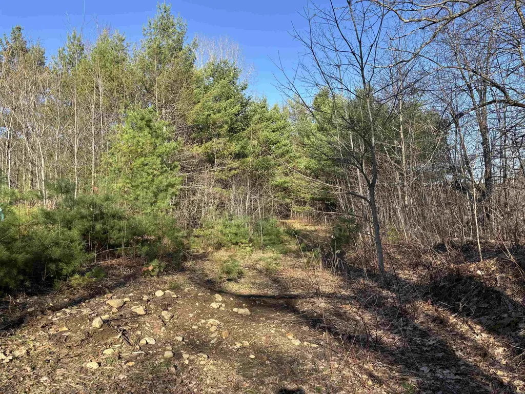 00 Simonsville Road Andover VT 05143