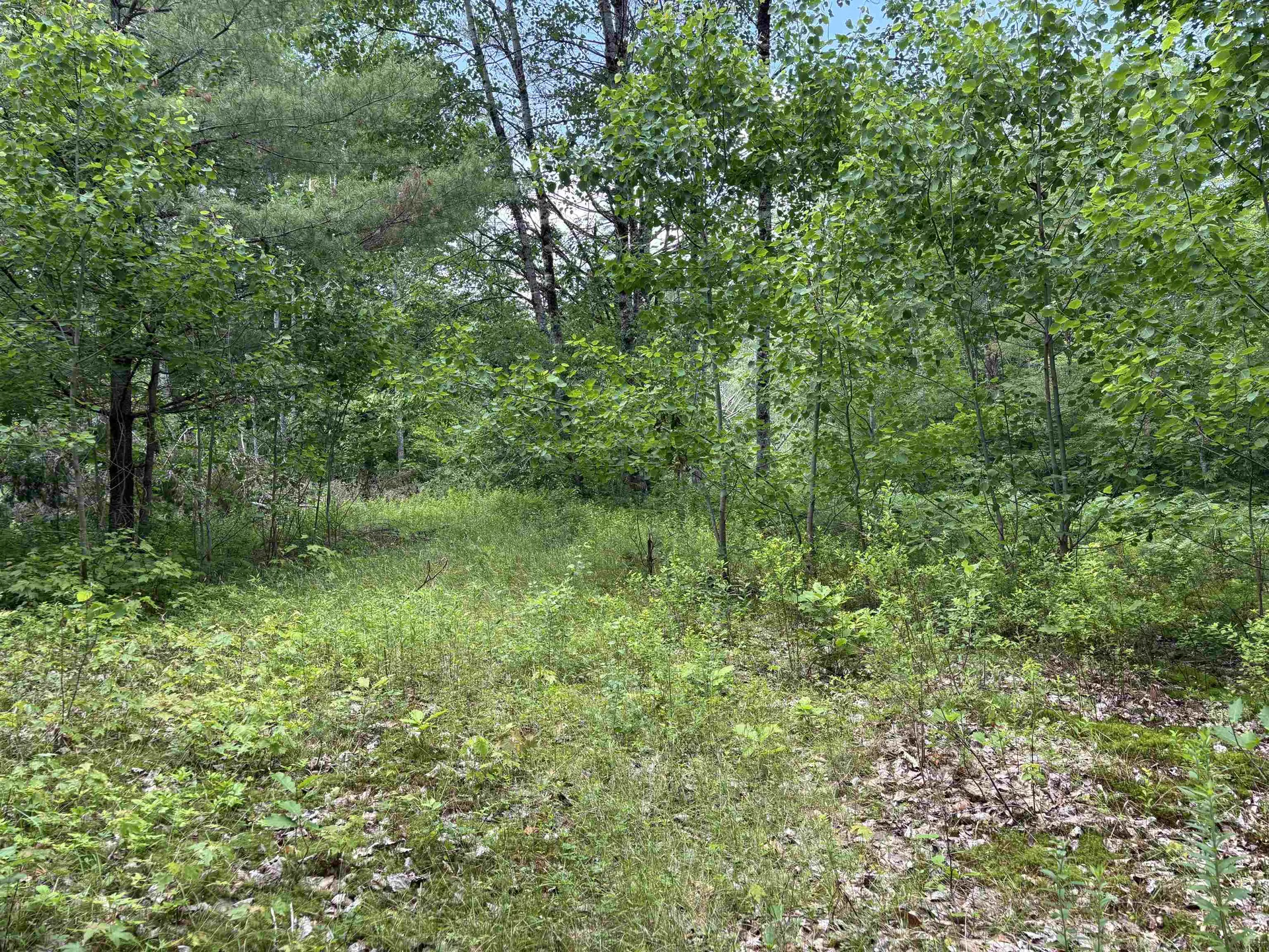 00 Simonsville Road Andover VT 05143
