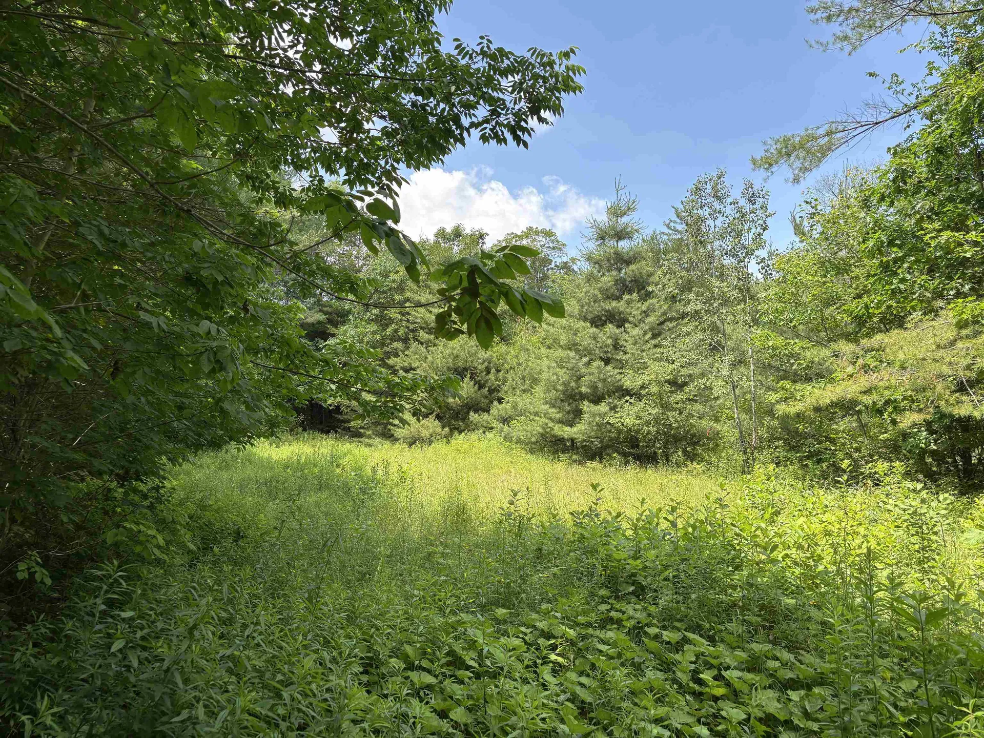 00 Simonsville Road Andover VT 05143