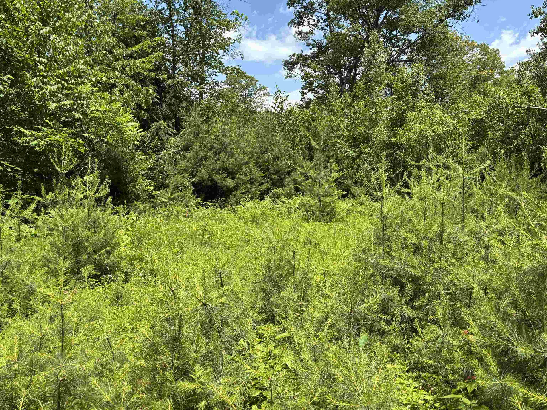 00 Simonsville Road Andover VT 05143
