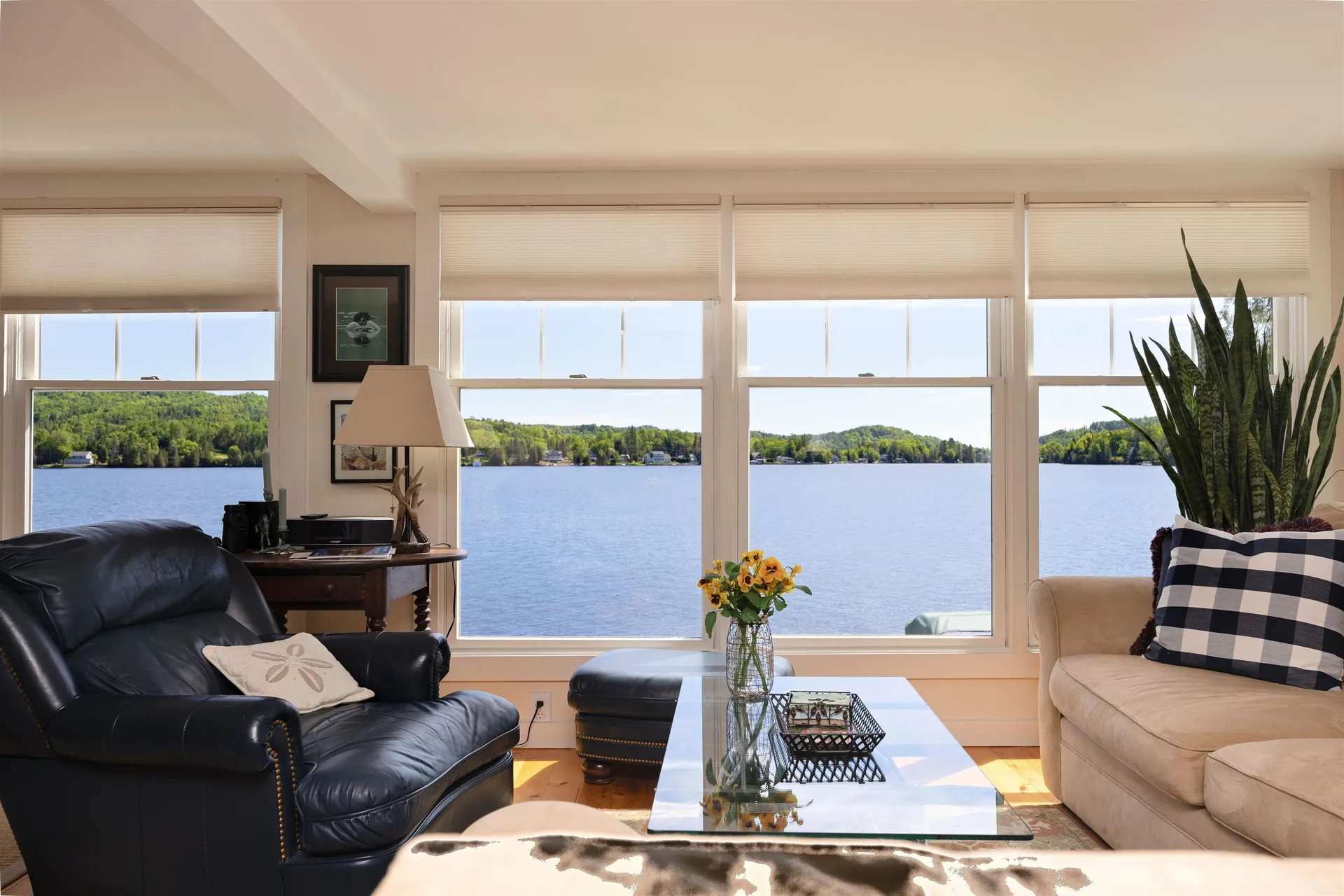 1559 West Shore Road Cabot VT 05647