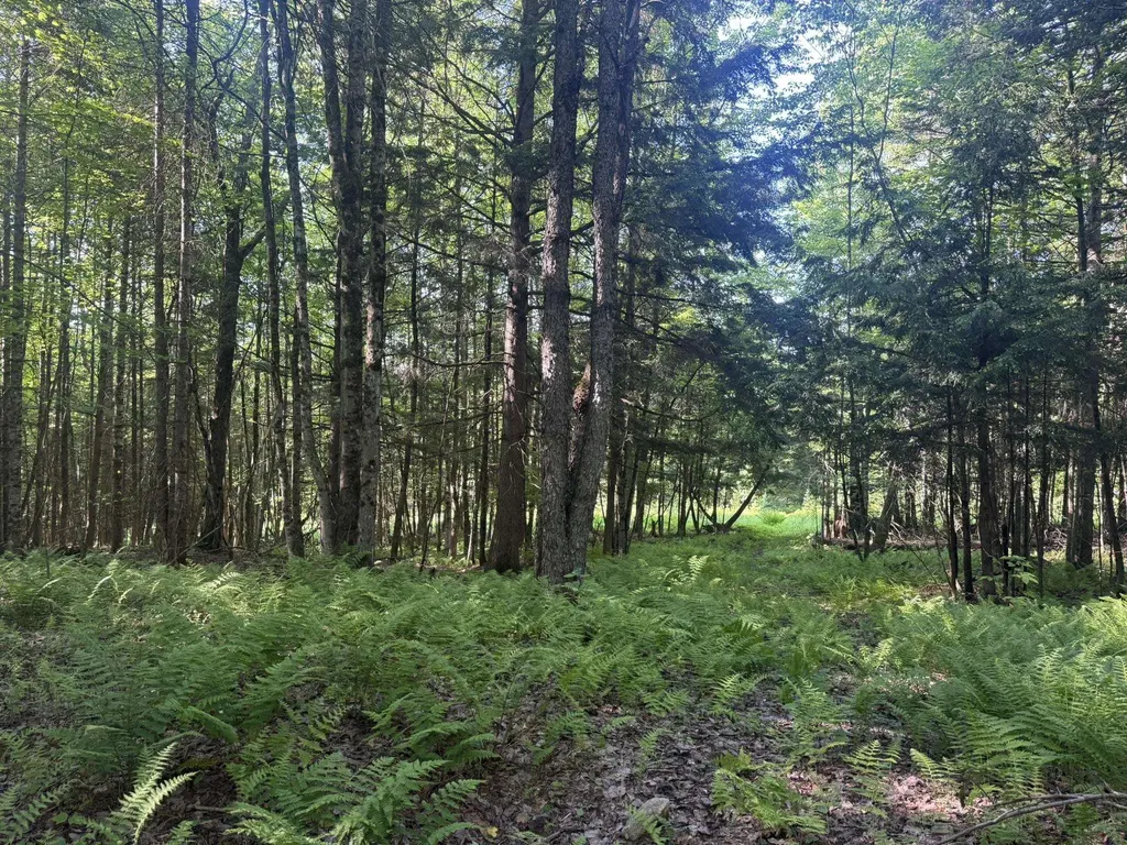 0 Roaring Brook Road Barton VT 05822