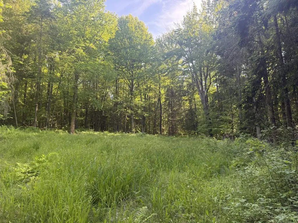 0 Roaring Brook Road Barton VT 05822