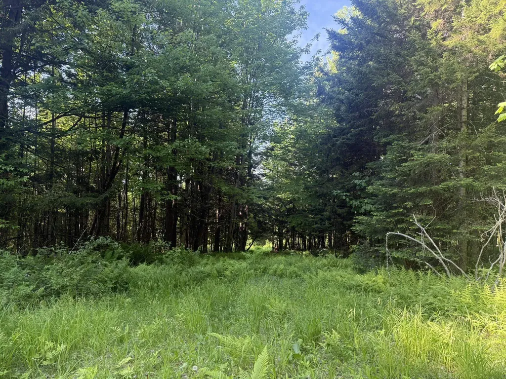 0 Roaring Brook Road Barton VT 05822