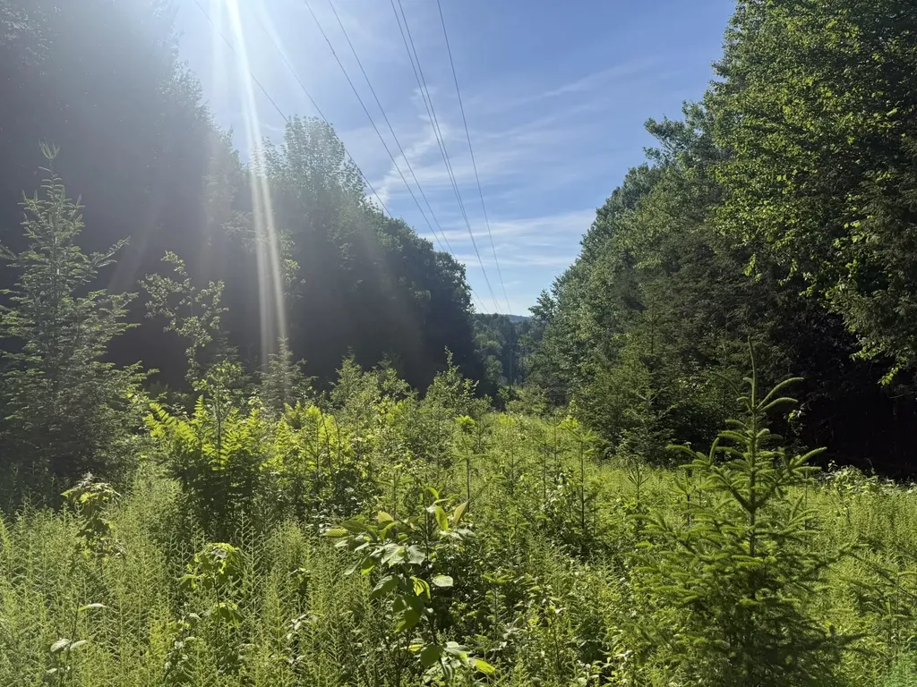 0 Roaring Brook Road Barton VT 05822