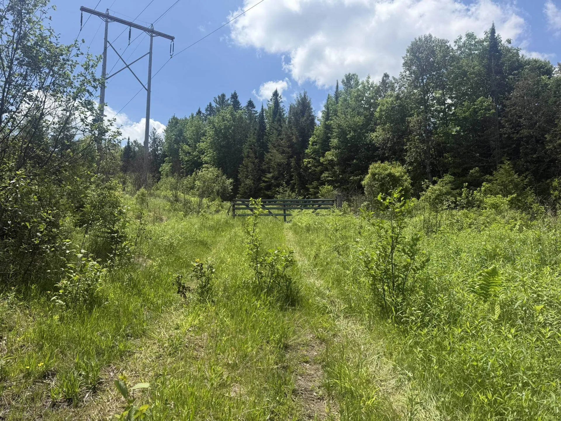 Barton VT, Roaring Brook Road