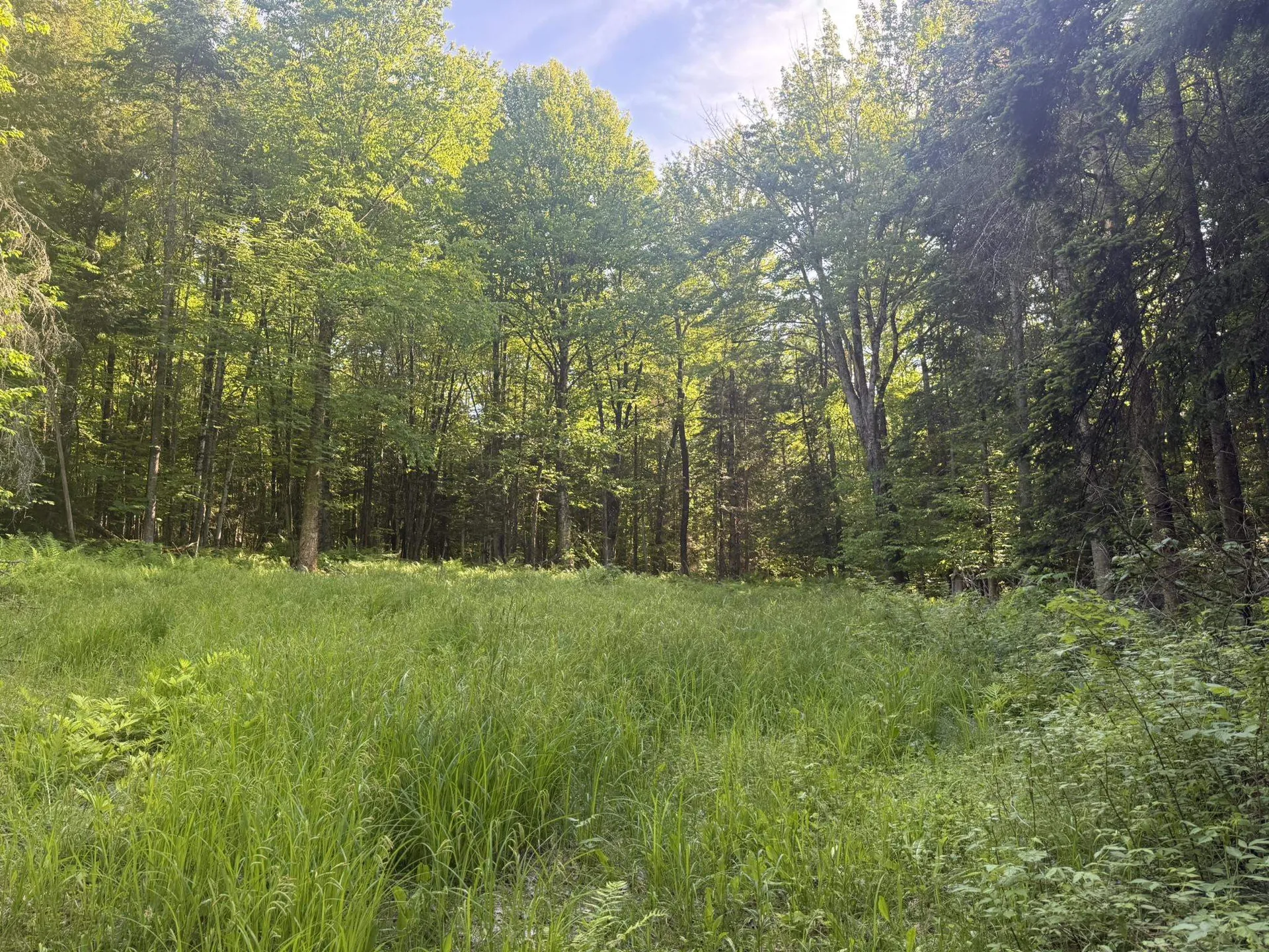 0 Roaring Brook Road Barton VT 05822