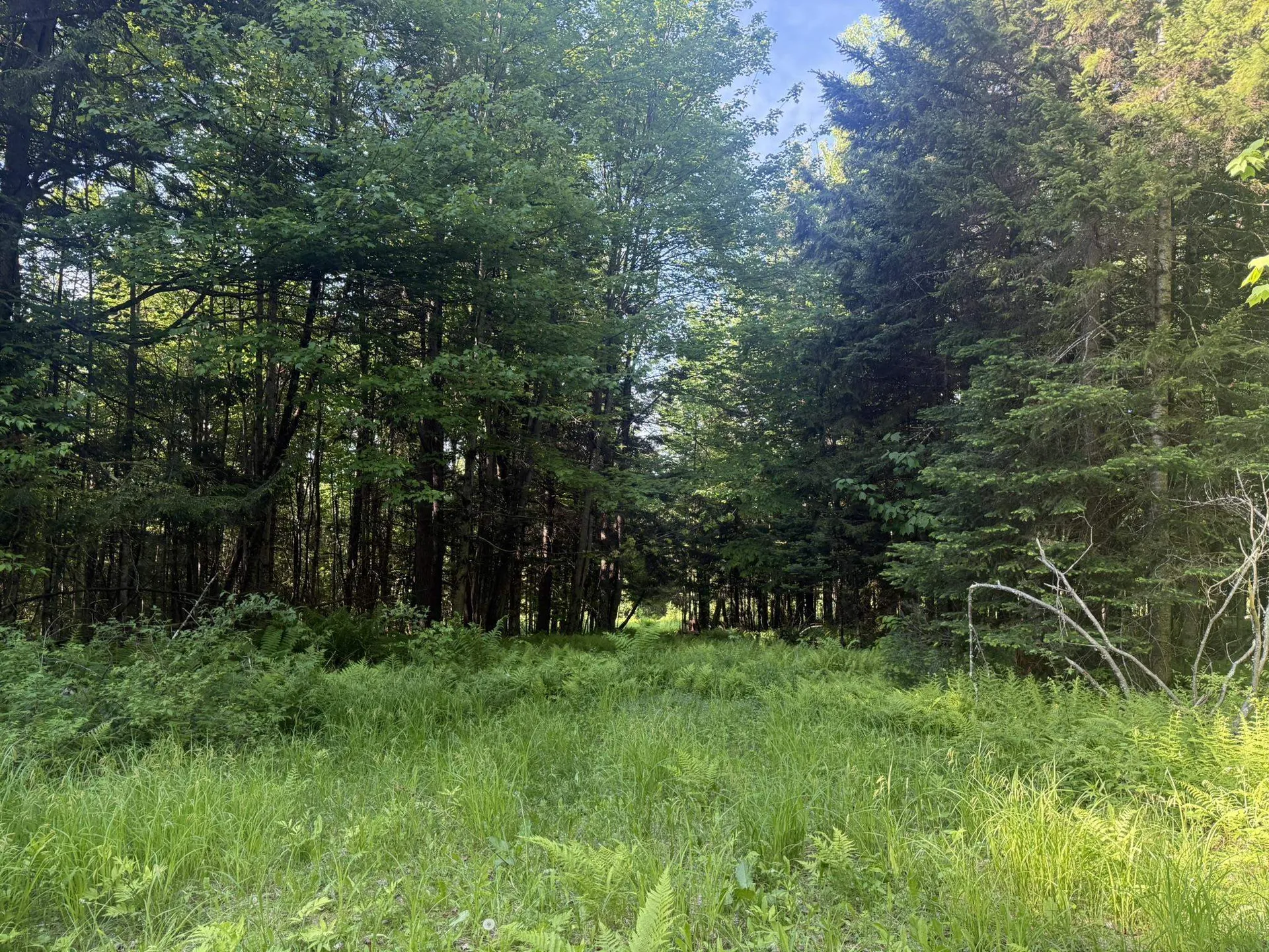0 Roaring Brook Road Barton VT 05822