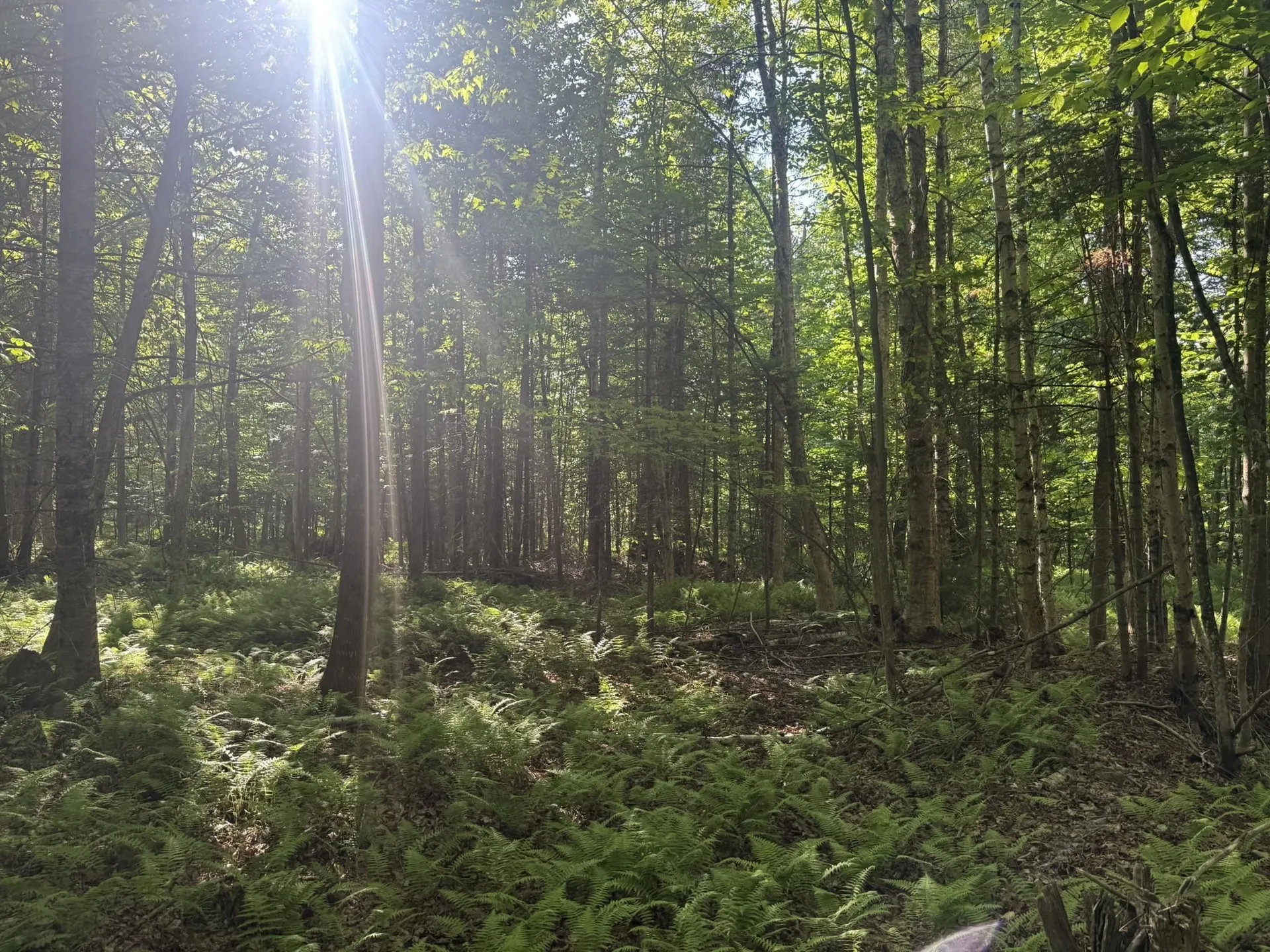 0 Roaring Brook Road Barton VT 05822