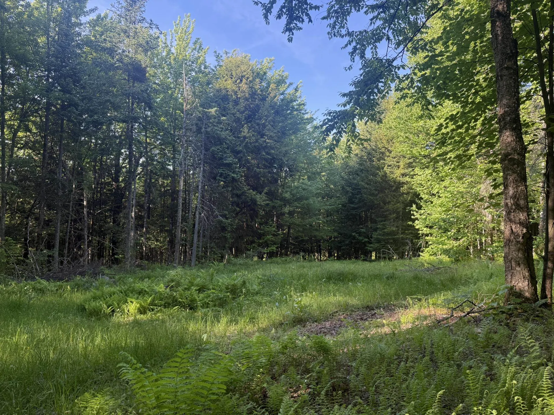 0 Roaring Brook Road Barton VT 05822