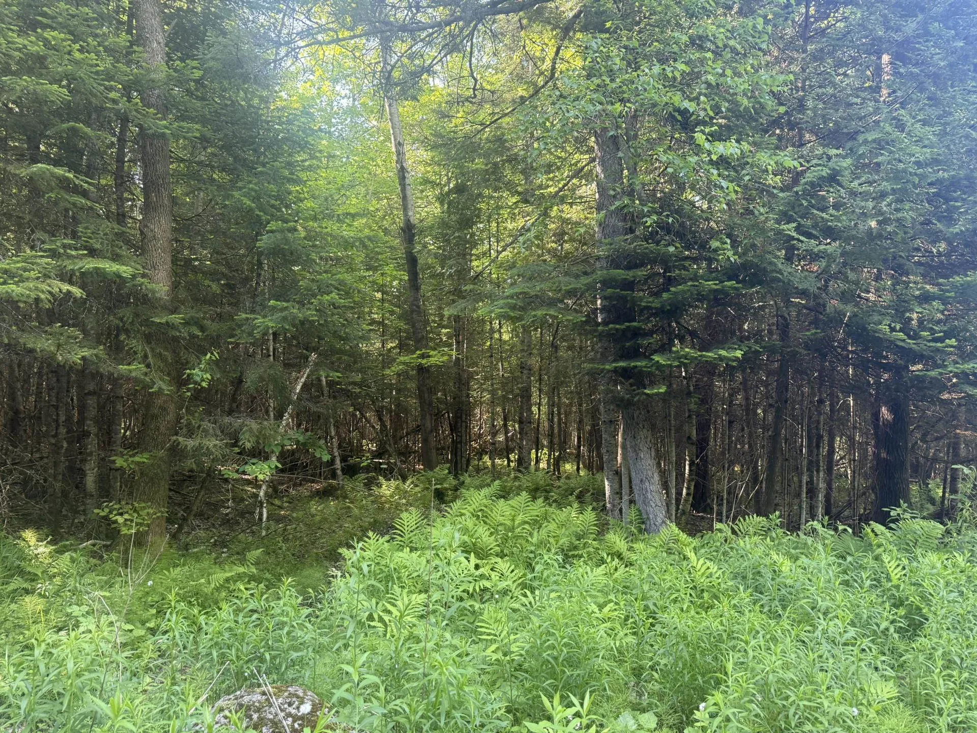 0 Roaring Brook Road Barton VT 05822