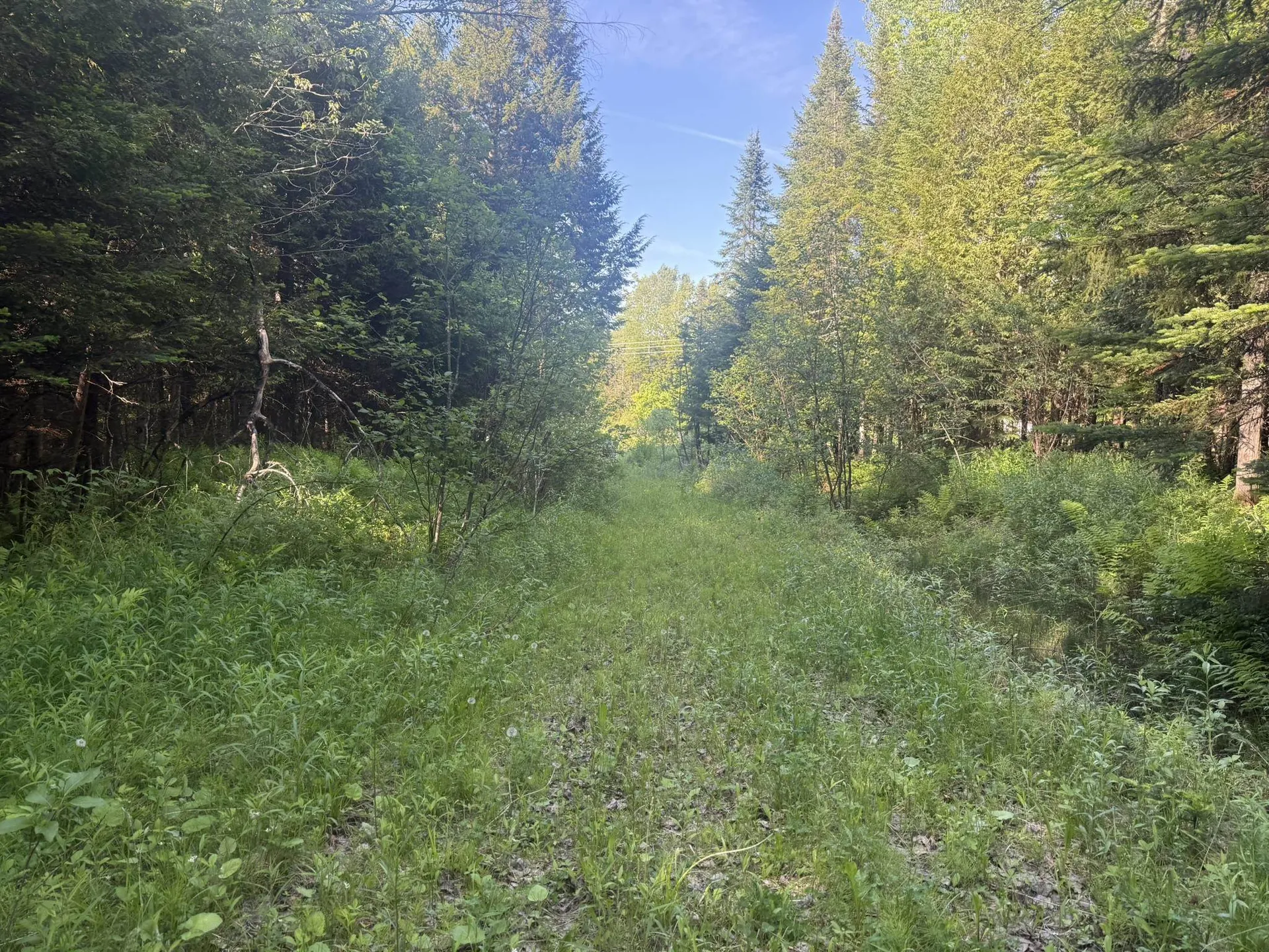 0 Roaring Brook Road Barton VT 05822