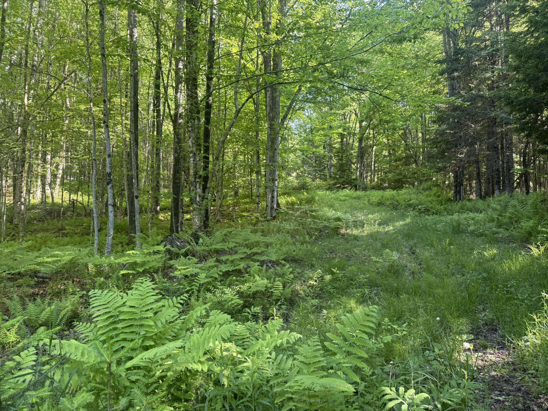 0 Roaring Brook Road Barton VT 05822