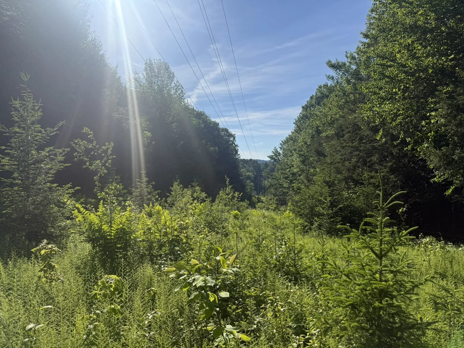 0 Roaring Brook Road Barton VT 05822