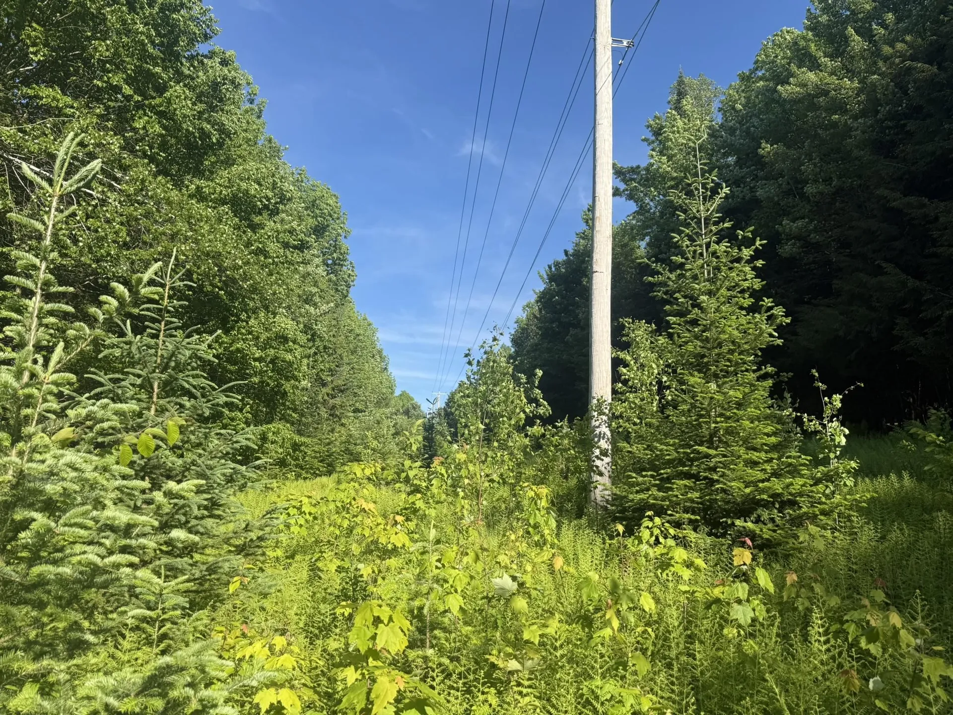 0 Roaring Brook Road Barton VT 05822