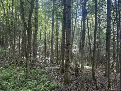 0 Roaring Brook Road Barton VT 05822