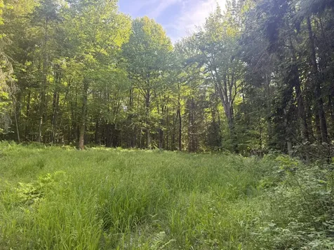 0 Roaring Brook Road Barton VT 05822
